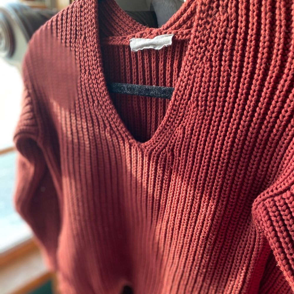 Everlane Sweater